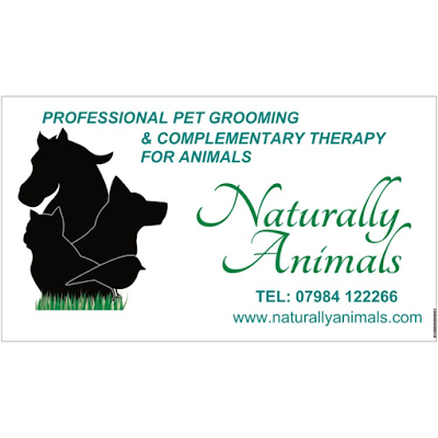Grooming Van Image