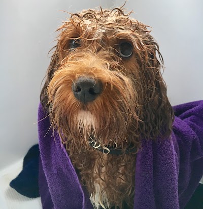 Grooming Van Image