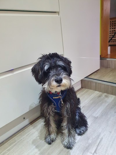 Grooming Van Image