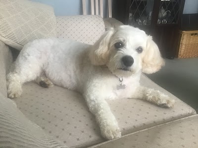Grooming Van Image