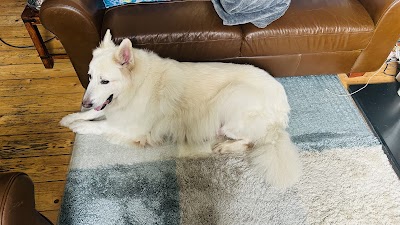 Grooming Van Image