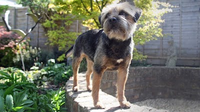 Grooming Van Image