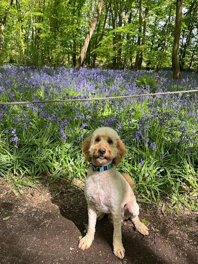 Grooming Van Image