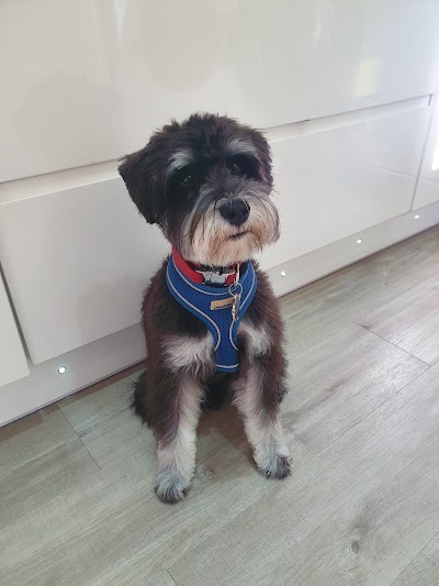 Grooming Van Image