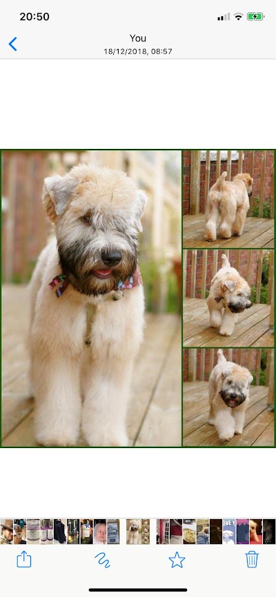 Grooming Van Image