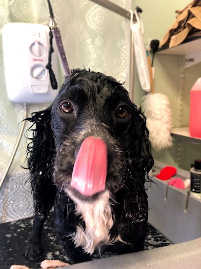 Grooming Van Image