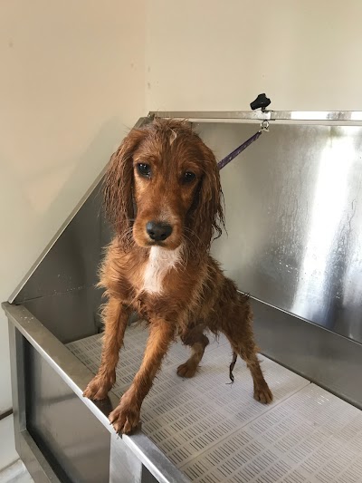 Grooming Van Image