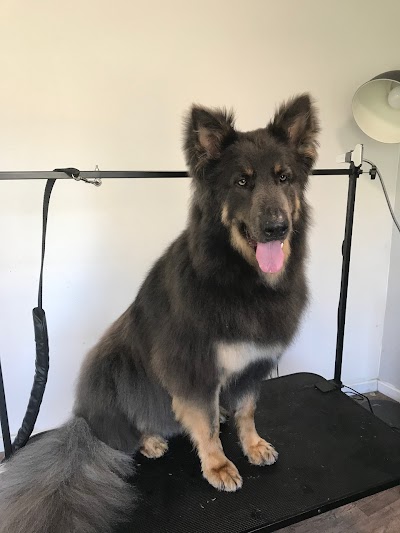 Grooming Van Image