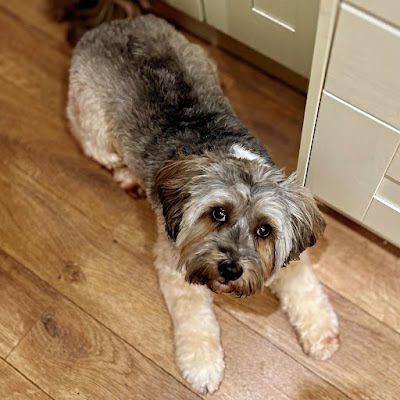 Grooming Van Image