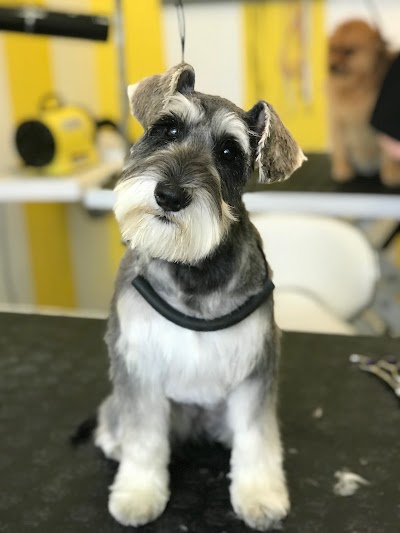 Grooming Van Image