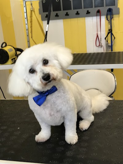 Grooming Van Image