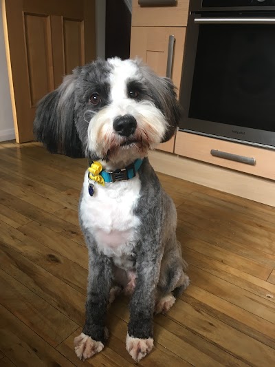 Grooming Van Image