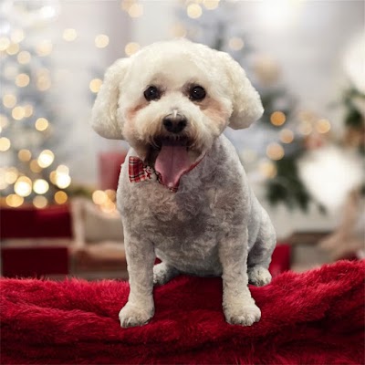 Grooming Van Image