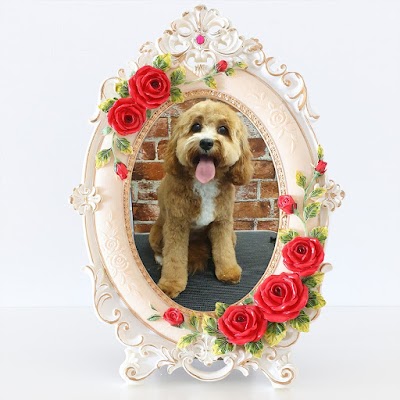 Grooming Van Image