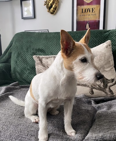 Grooming Van Image