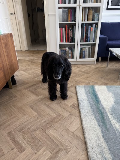 Grooming Van Image