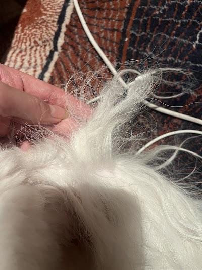 Grooming Van Image