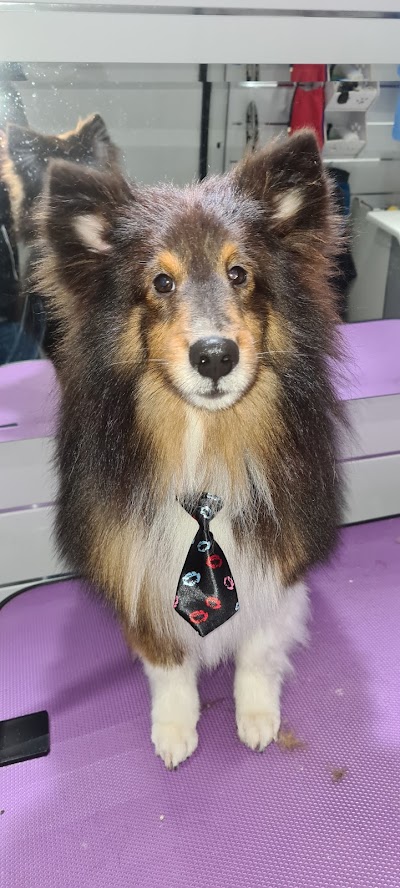Grooming Van Image