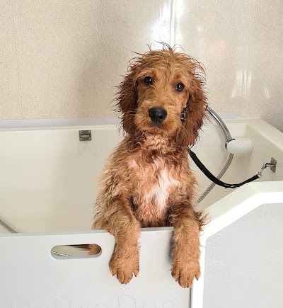 Grooming Van Image