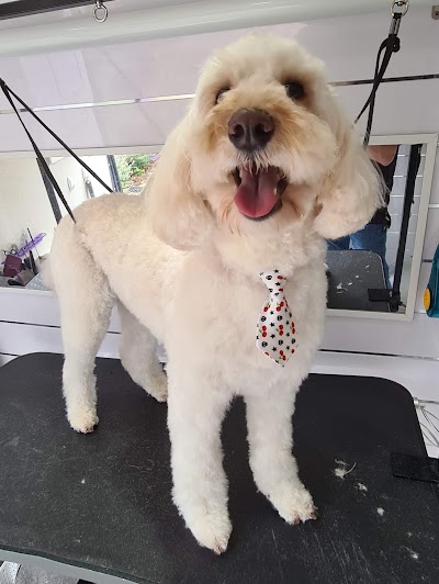 Grooming Van Image