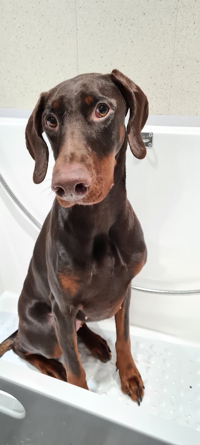 Grooming Van Image