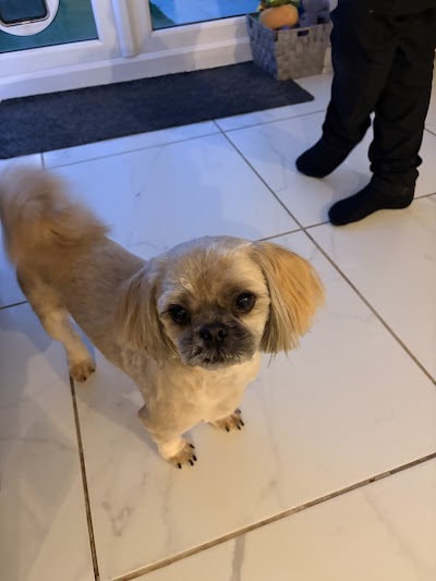 Grooming Van Image
