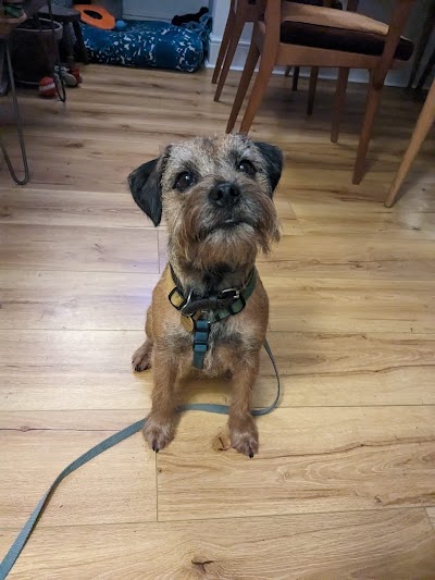 Grooming Van Image