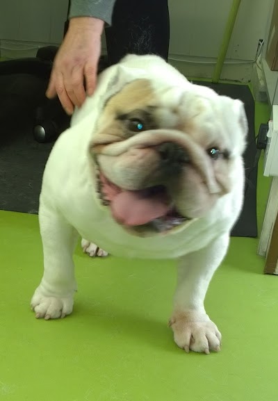 Grooming Van Image