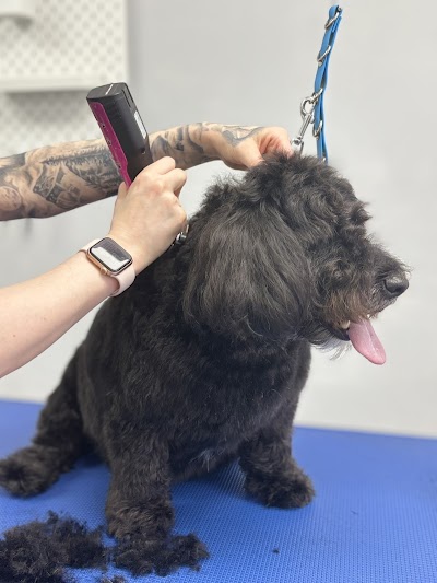 Grooming Van Image