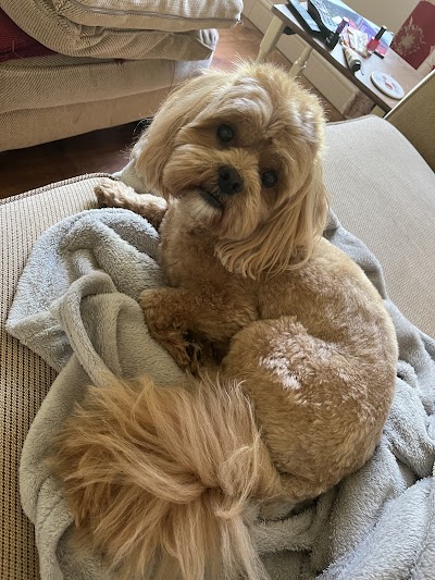 Grooming Van Image