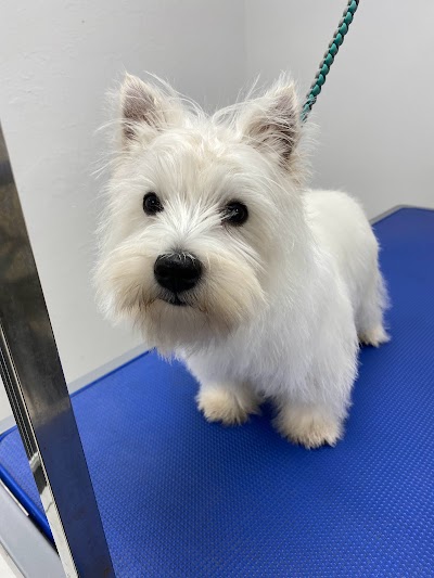 Grooming Van Image