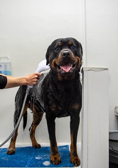 Grooming Van Image