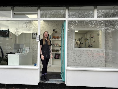 Canine Co. Dog Groomers & Training Academy