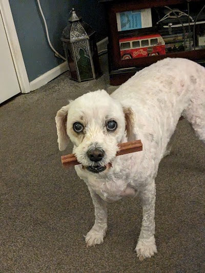Grooming Van Image