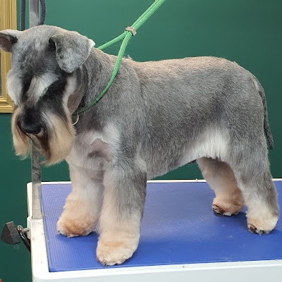 Grooming Van Image