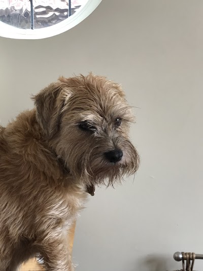 Grooming Van Image