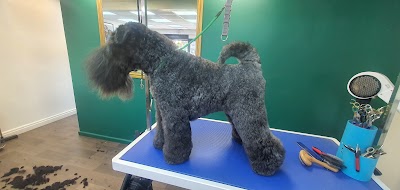 Grooming Van Image
