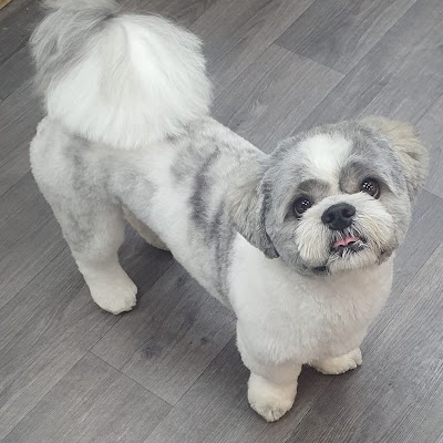 Grooming Van Image
