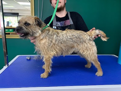 Grooming Van Image