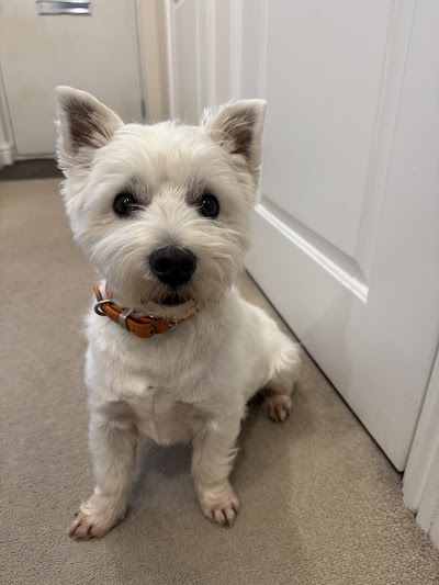 Grooming Van Image
