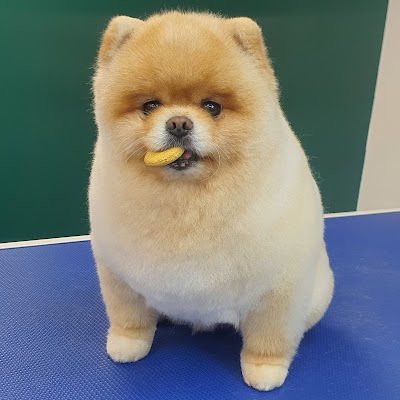 Grooming Van Image