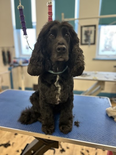 Grooming Van Image