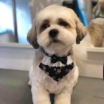 Grooming Van Image