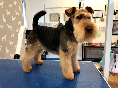 Grooming Van Image
