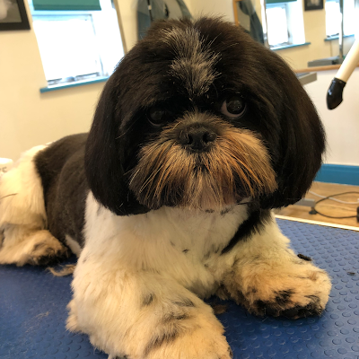 Grooming Van Image