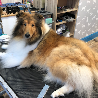 Grooming Van Image