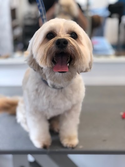 Grooming Van Image