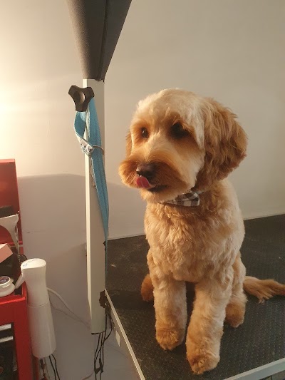 Grooming Van Image
