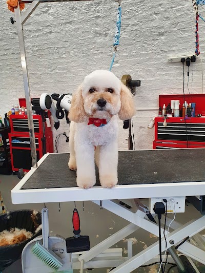 Grooming Van Image