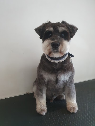 Grooming Van Image